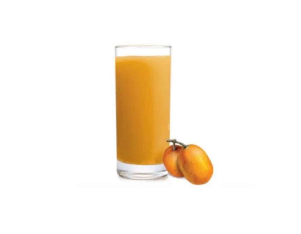 Suco de Cajá 300ml