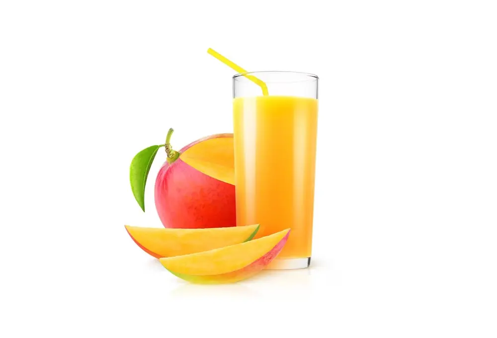 Suco de Manga 300ml