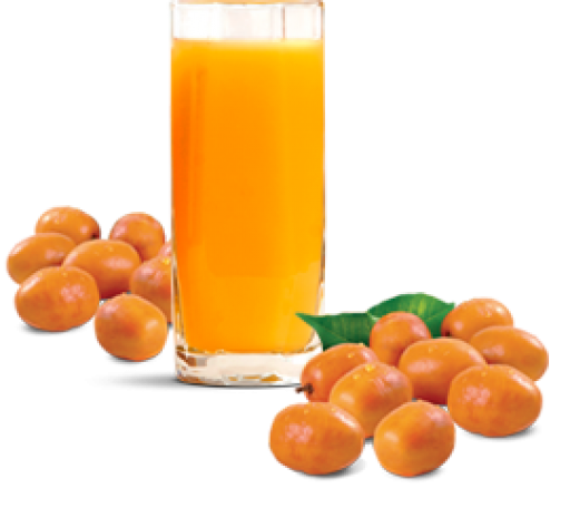 CAJA COPO