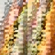 PASTEL G = Carne de Sol C/ Queijo de Coalho