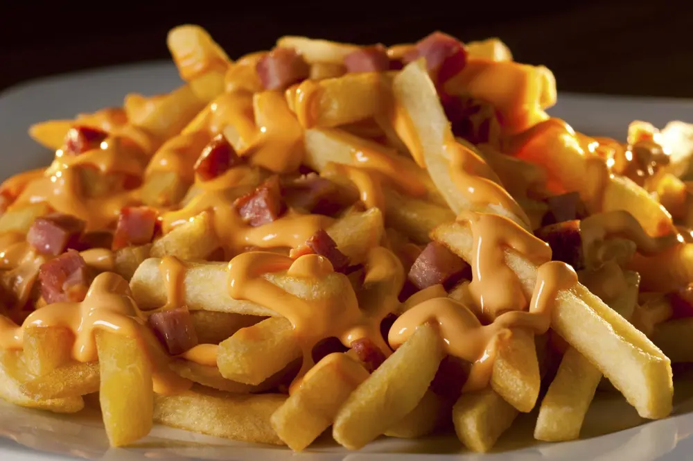 BATATA FRITA COMCHEDDAR E BACON 