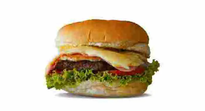 X-BURGUER