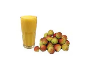 Suco Mangaba