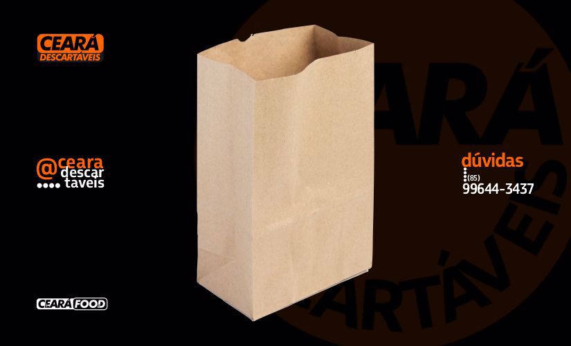 Saco Kraft Delivery 3 (22x34x14F)
